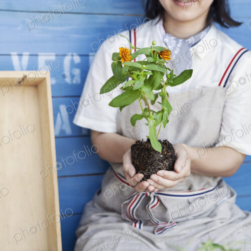 Japanese woman sitting outside a farm shop, planting flowers into flower pots.