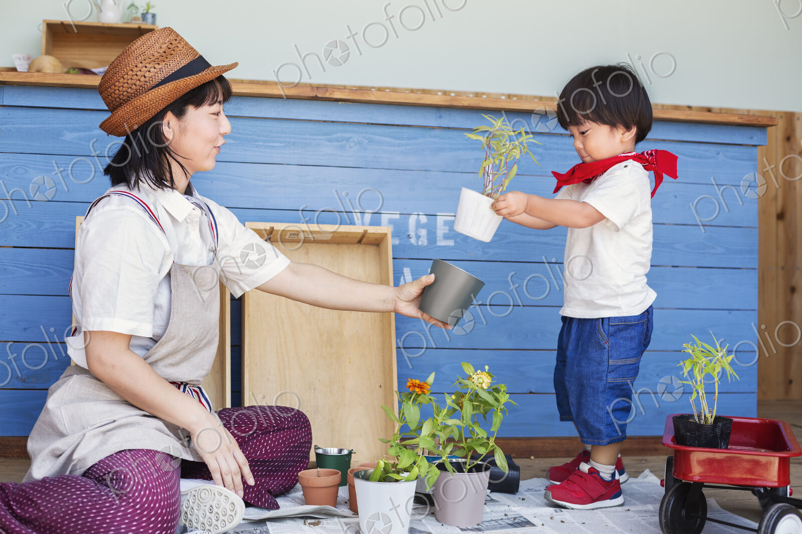 Japanese woman wearing hat and boy sitting outside a farm shop, planting flowers into…