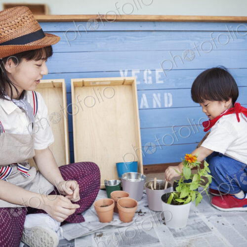 Japanese woman wearing hat and boy sitting outside a farm shop, planting flowers into…