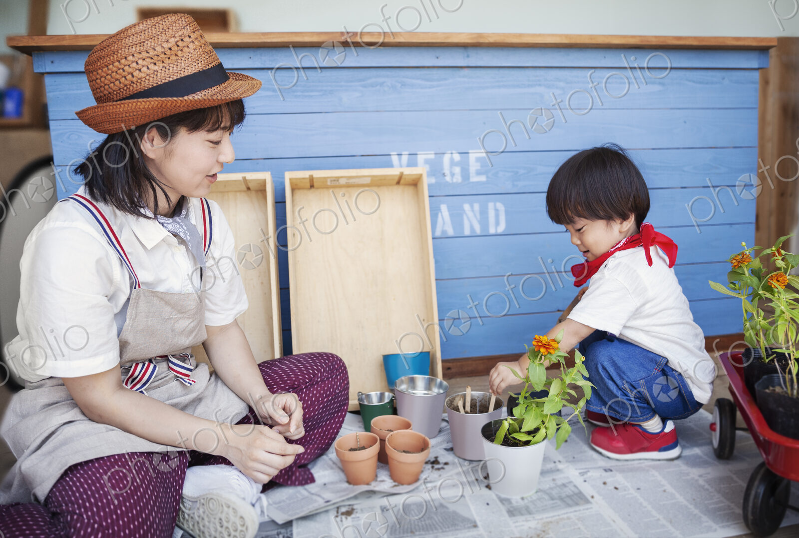 Japanese woman wearing hat and boy sitting outside a farm shop, planting flowers into…