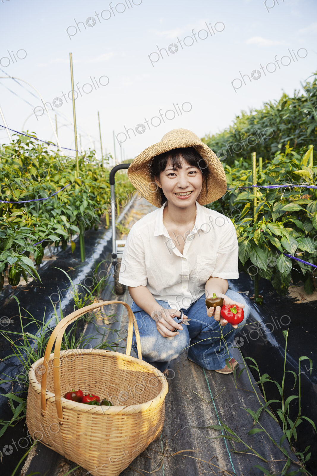 Japanese woman wearing hat kneeling in vegetable field, smiling at camera, basket with…