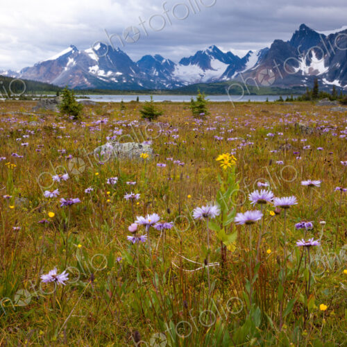 Jasper National Park, Alberta, Canada Jasper National Park, Alberta, Canada