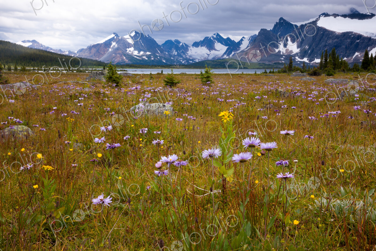 Jasper National Park, Alberta, Canada