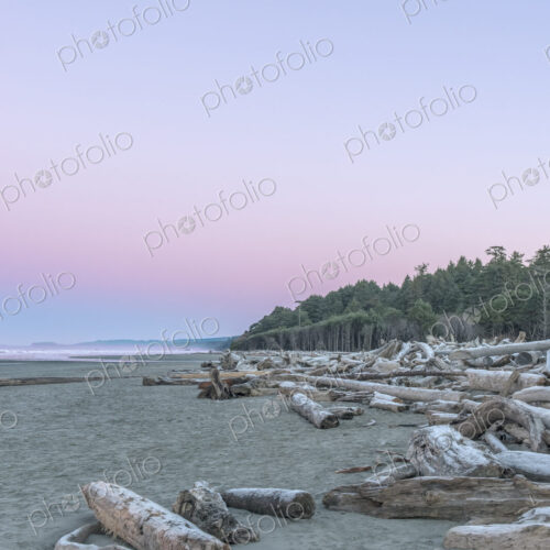 Kaoloch Beach in Olympic National Park with large pieces of driftwood on the sand and… Kaoloch Beach in Olympic National Park with large pieces of driftwood on the sand and…