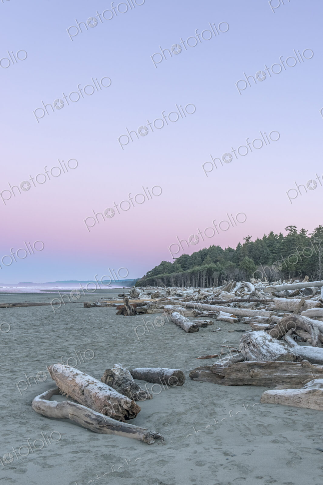 Kaoloch Beach in Olympic National Park with large pieces of driftwood on the sand and…