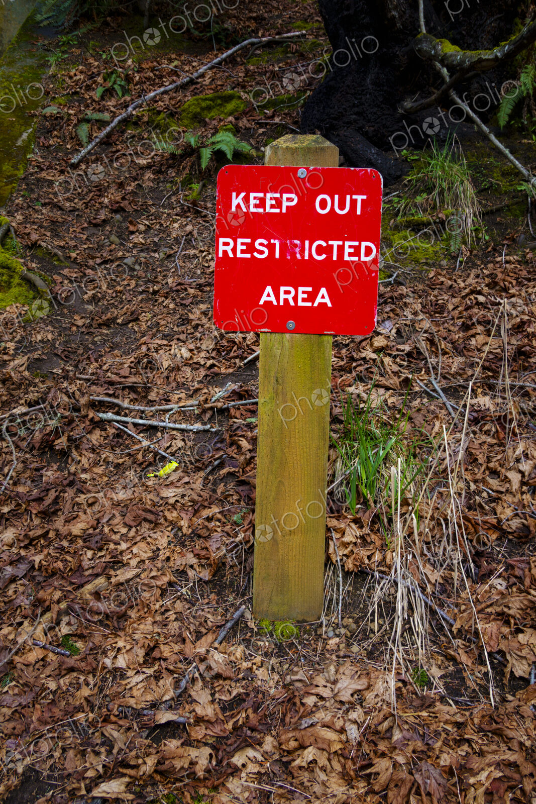Keep Out Restricted Area sign at old World War 2 era bunker, Salt Creek Recreational…