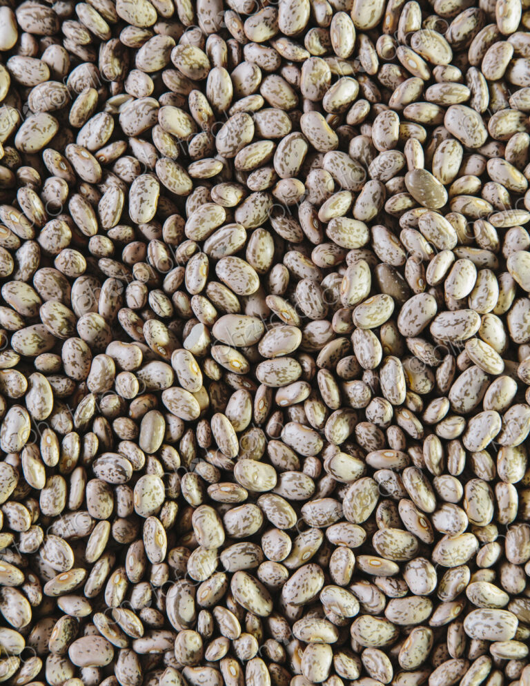 Kidney beans, small brown pulses, a food.