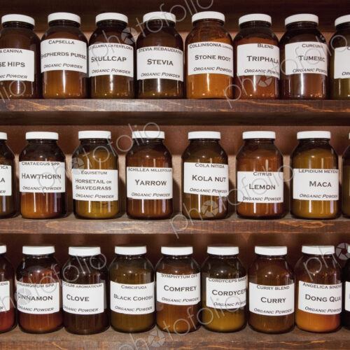 Labelled stock, jars of medicinal herbs and plants on shelves in an apothecary shop