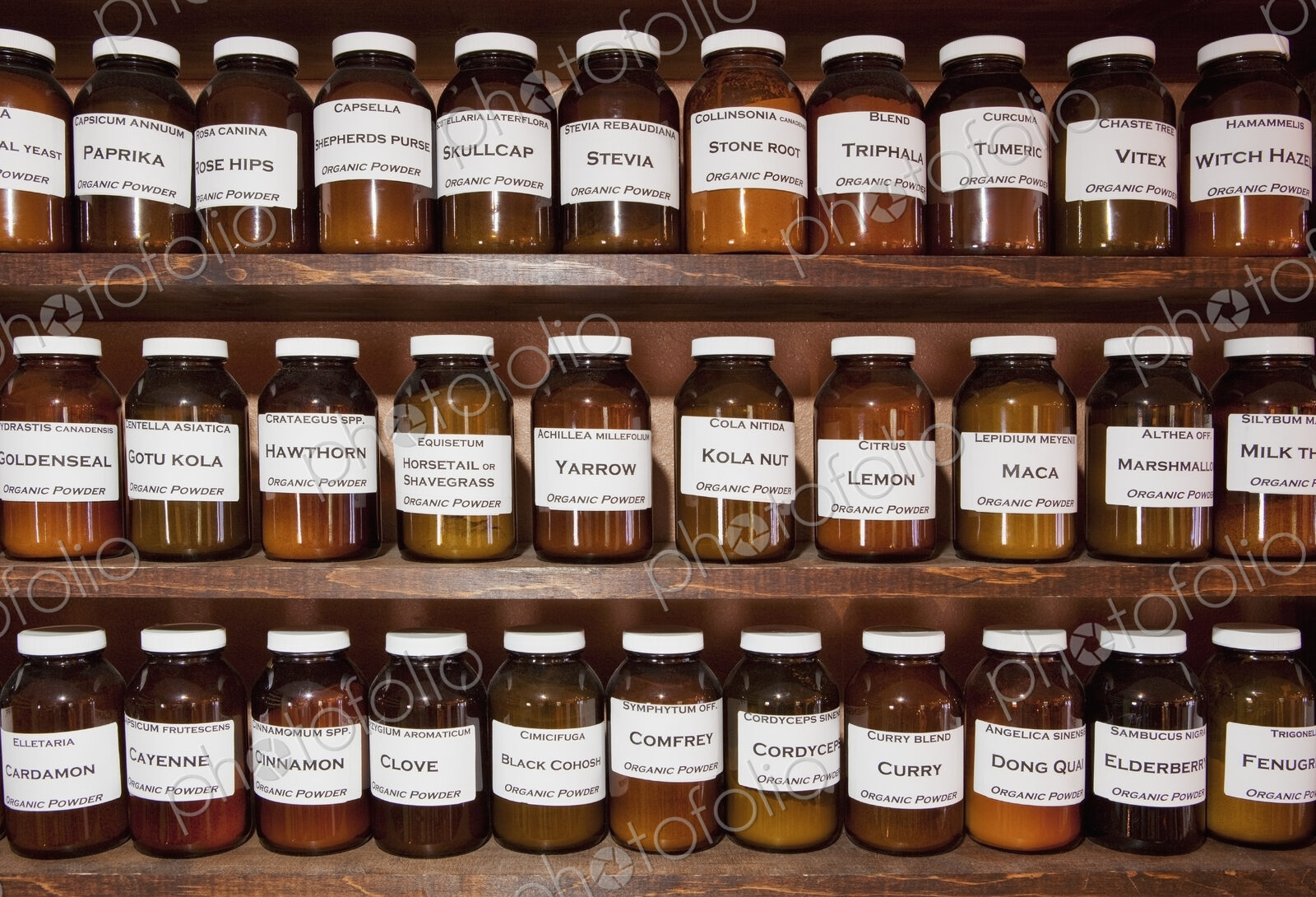 Labelled stock, jars of medicinal herbs and plants on shelves in an apothecary shop