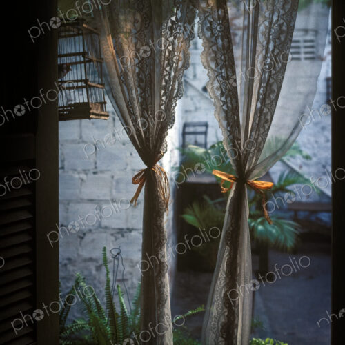Lace Curtains and Birdcage in Open Window Lace Curtains and Birdcage in Open Window