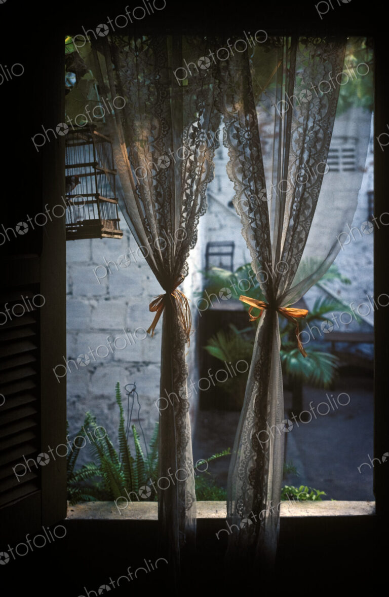 Lace Curtains and Birdcage in Open Window