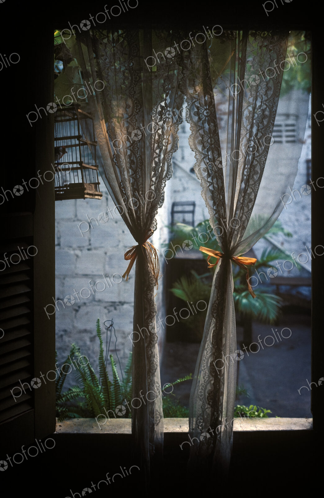 Lace Curtains and Birdcage in Open Window