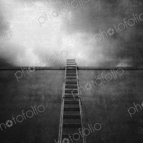 Ladder Going Up a Tall Wall Ladder Going Up a Tall Wall