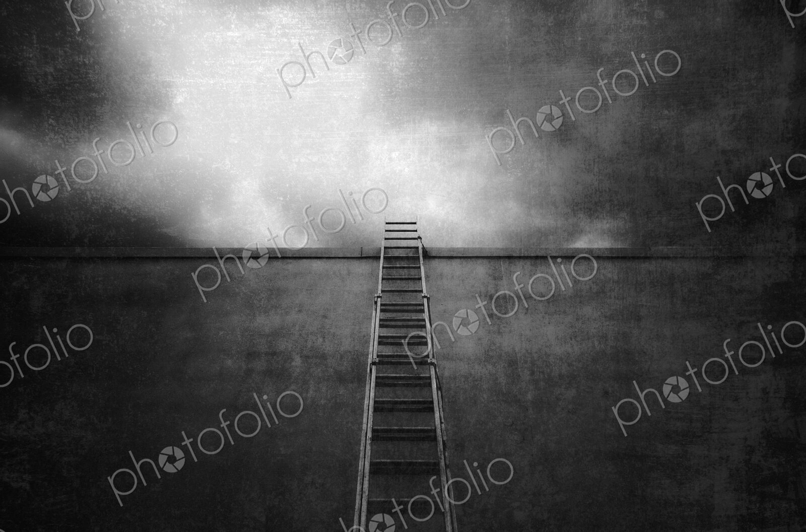 Ladder Going Up a Tall Wall