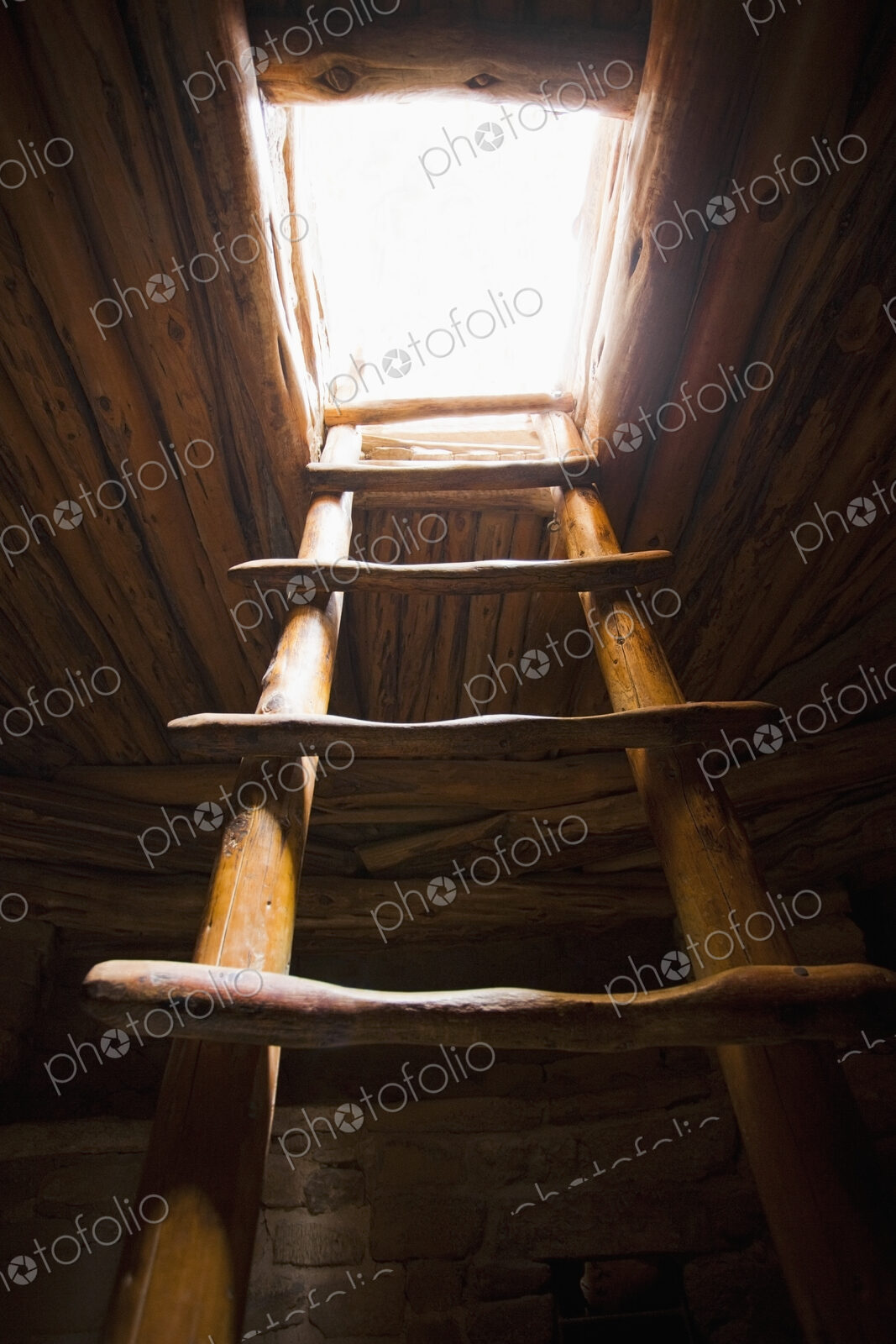Ladder of a Native American Cliff Dwelling