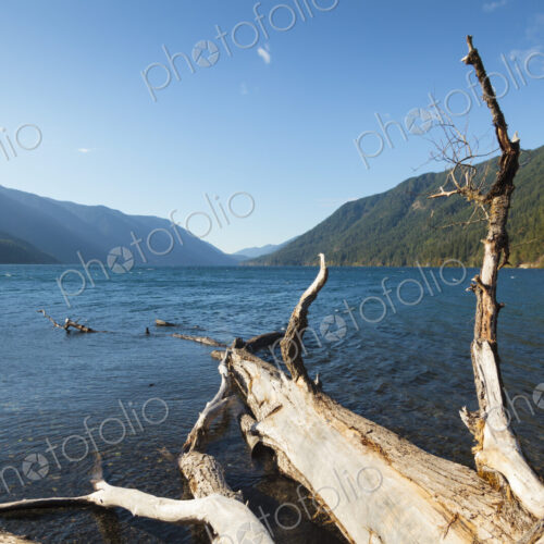 Lake Crescent, Olympic National Park, view across the lake from the shore, a large…