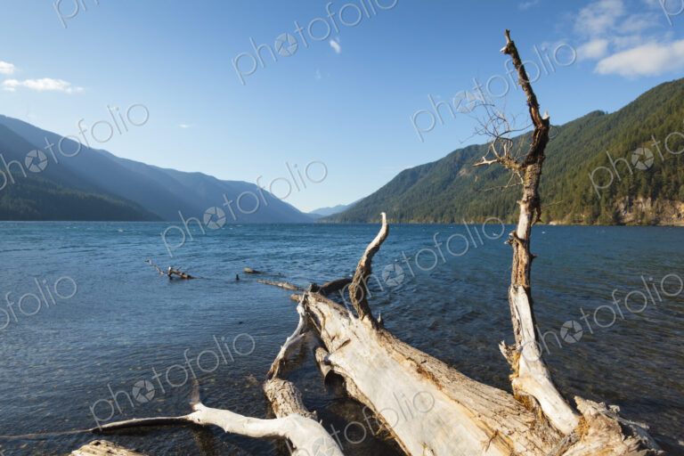 Lake Crescent, Olympic National Park, view across the lake from the shore, a large…