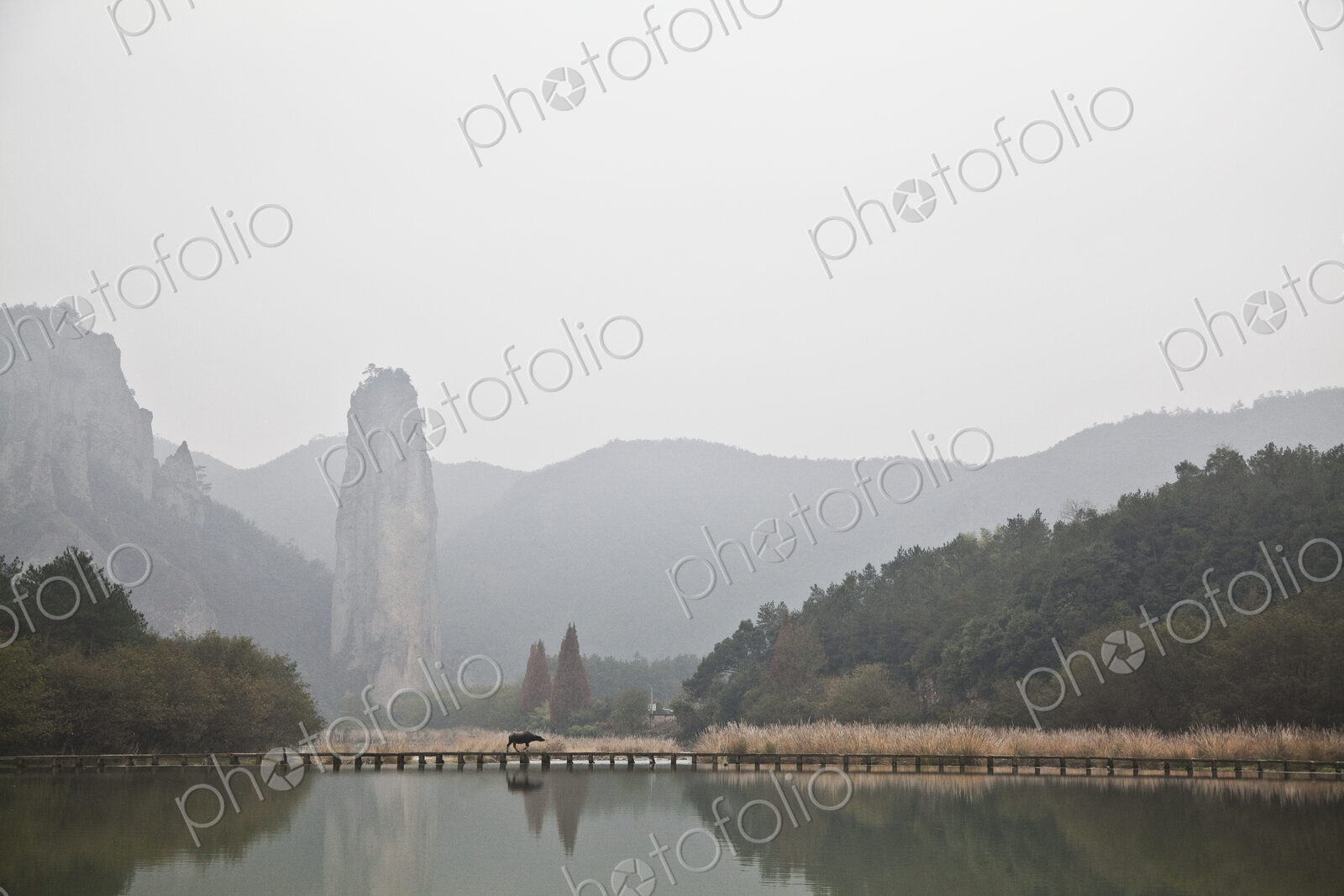 Lakeside Scenic With Bridge and Mountains