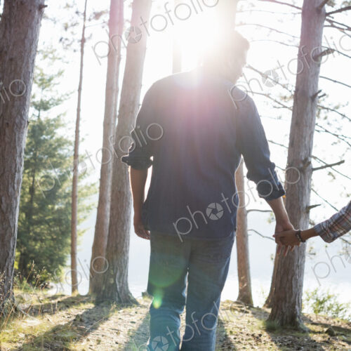 Lakeside. A couple walking in the shade of pine trees in summer. Lakeside. A couple walking in the shade of pine trees in summer.