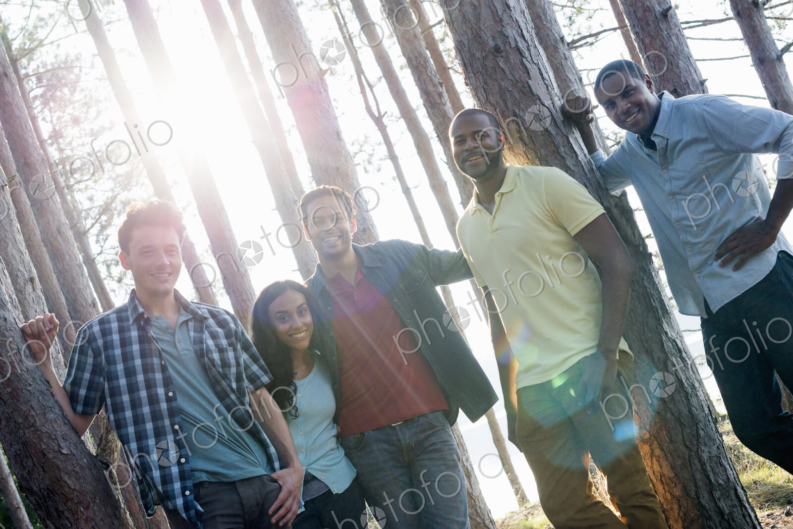 Lakeside. A group of people, friends gathered in the shade of pine trees in summer.