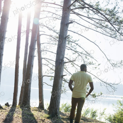 Lakeside. A man standing in the shade of pine trees in summer.