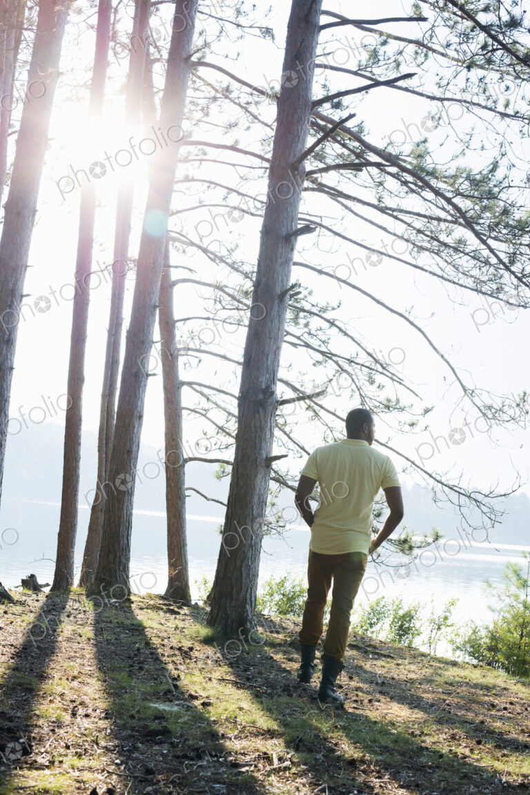 Lakeside. A man standing in the shade of pine trees in summer.
