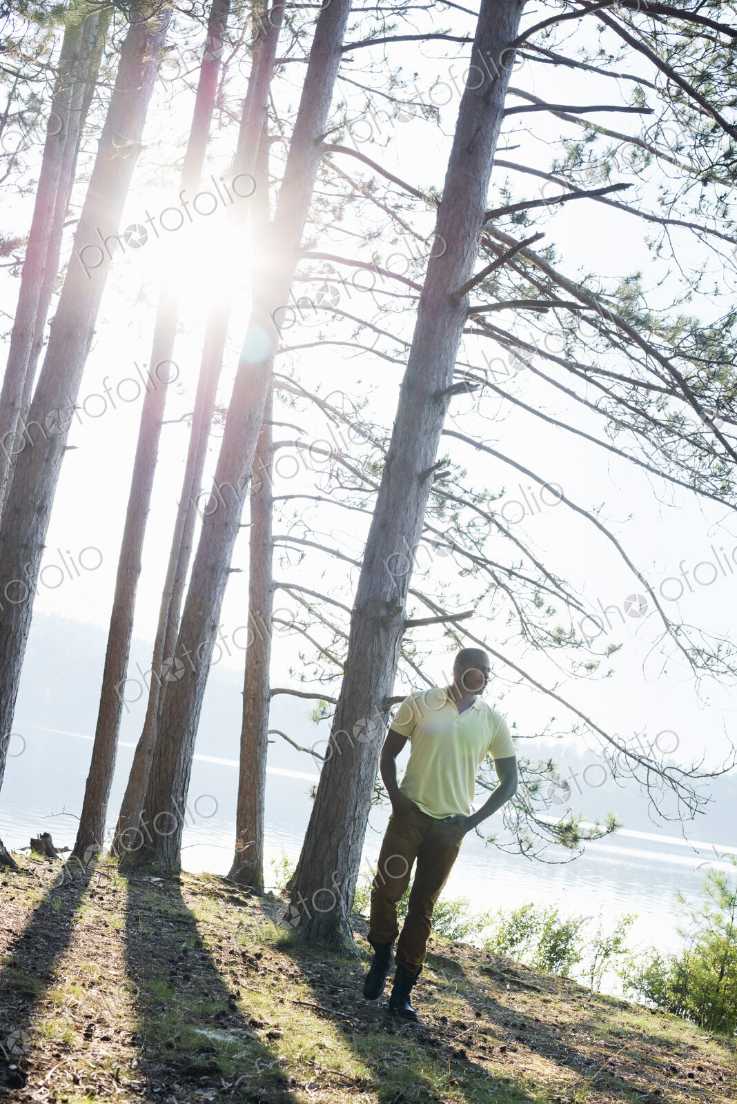 Lakeside. A man standing in the shade of pine trees in summer.