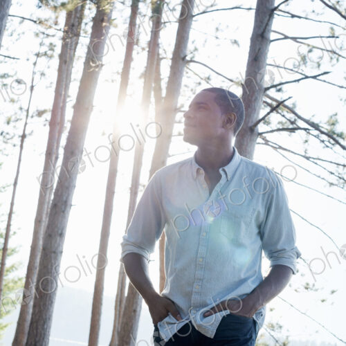 Lakeside. A man standing in the shade of pine trees in summer.