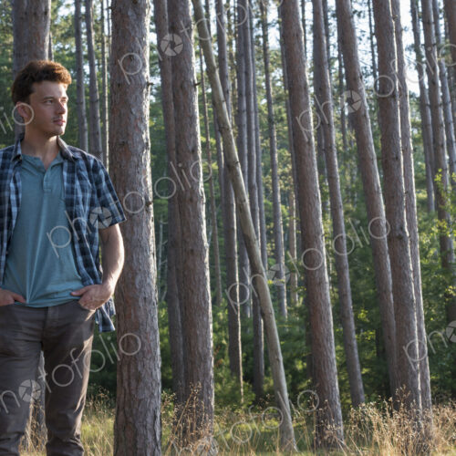 Lakeside. A man standing in the shade of pine trees in summer.