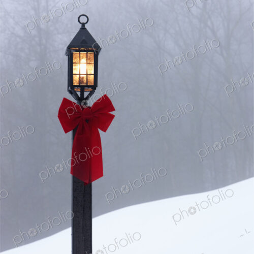 Lamppost in Snow