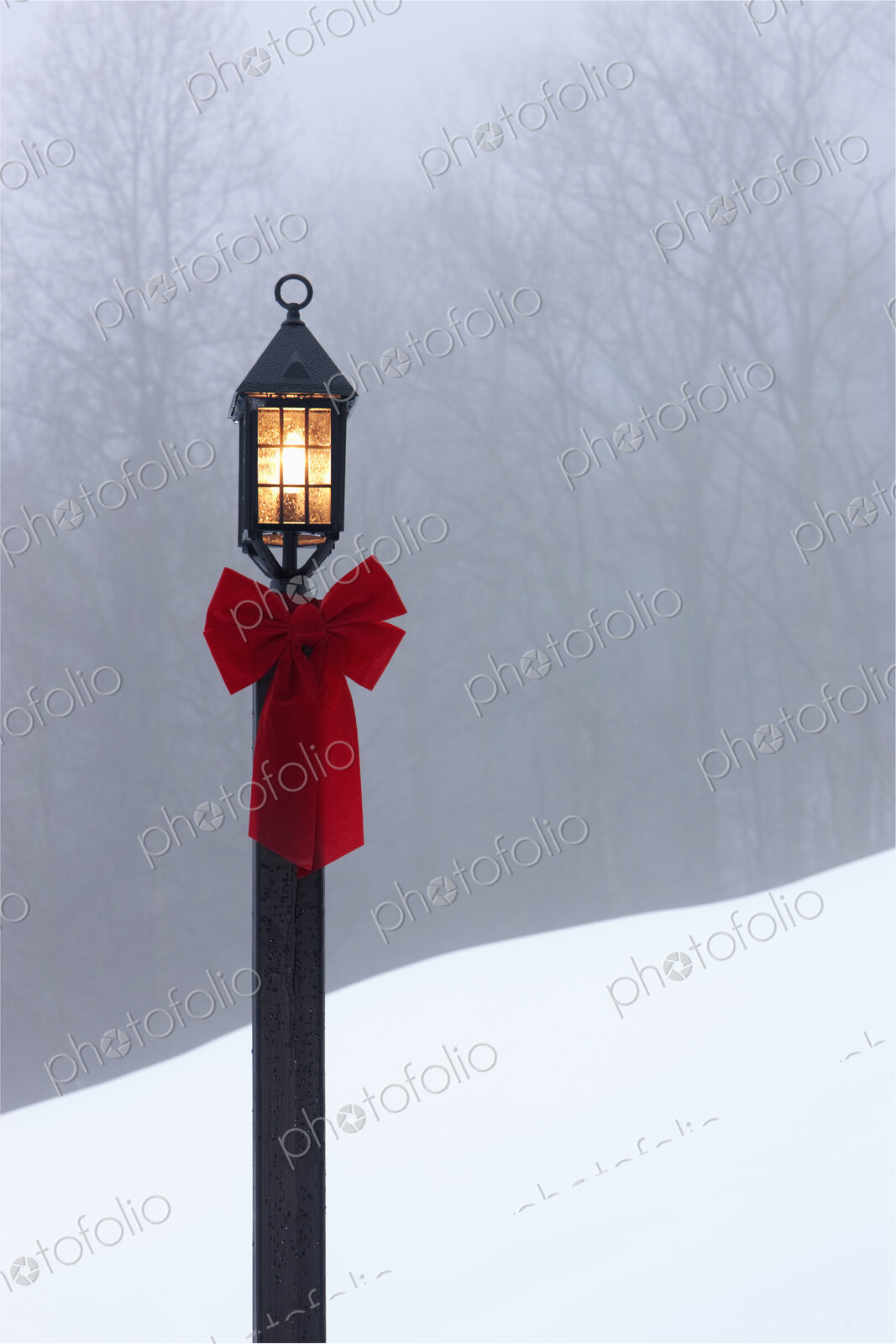 Lamppost in Snow