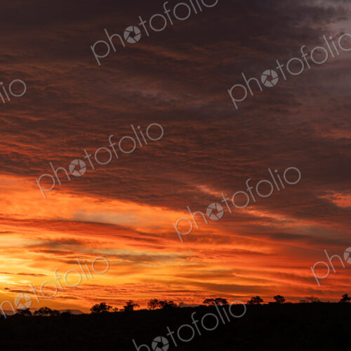 Landscape / Sunset. Horizontal panoramic shot of a dramatic, deep orange and red sky… Landscape / Sunset. Horizontal panoramic shot of a dramatic, deep orange and red sky…