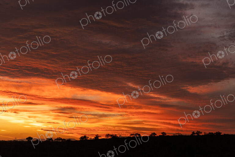 Landscape / Sunset. Horizontal panoramic shot of a dramatic, deep orange and red sky…