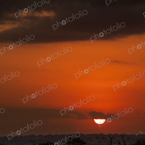 Landscape / Sunset. Vertical shot of a dramatic, orange and red sunset with dark… Landscape / Sunset. Vertical shot of a dramatic, orange and red sunset with dark…