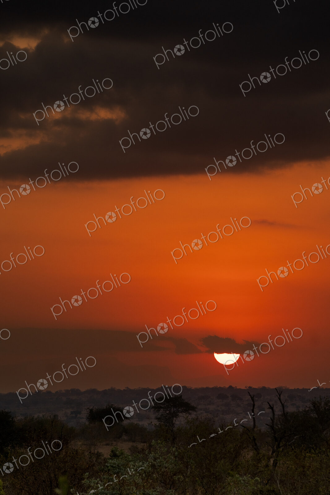 Landscape / Sunset. Vertical shot of a dramatic, orange and red sunset with dark…