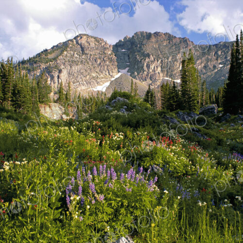 Landscape of Little Cottonwood Canyon, with the Devil's Castle mountain peak, in the…