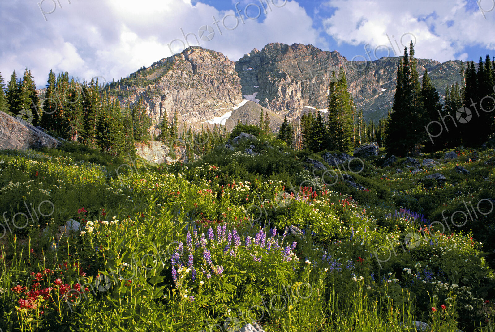 Landscape of Little Cottonwood Canyon, with the Devil’s Castle mountain peak, in the…