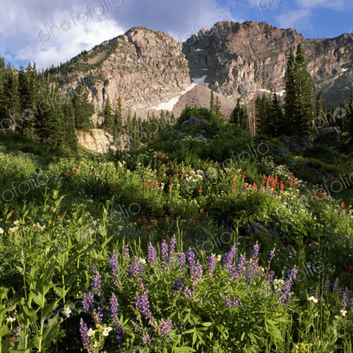 Landscape of Little Cottonwood Canyon, with the Devil's Castle mountain peak, in the…