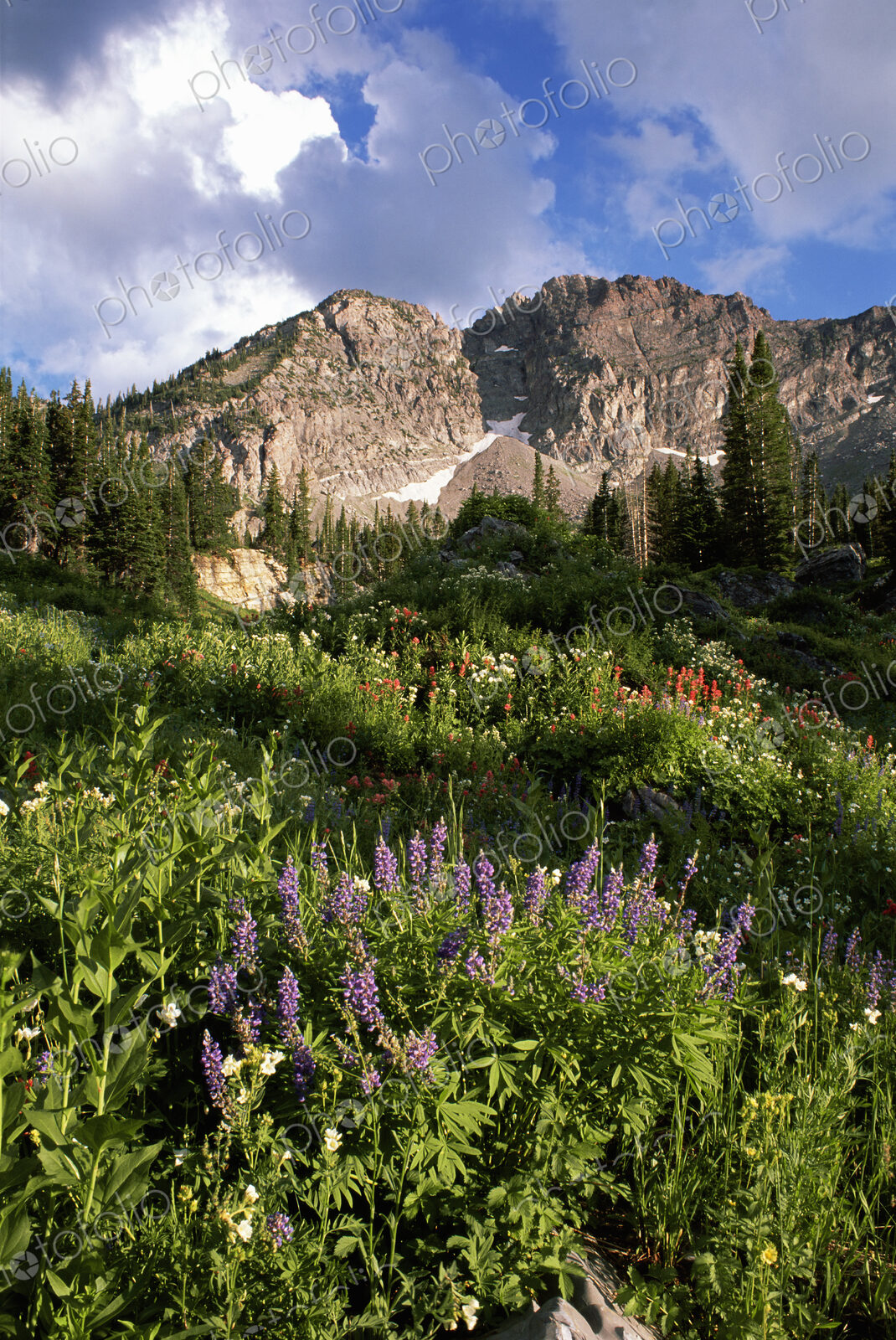 Landscape of Little Cottonwood Canyon, with the Devil’s Castle mountain peak, in the…