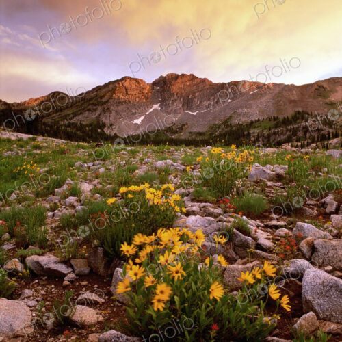Landscape of Little Cottonwood Canyon, with the Devil's Castle mountain peak, in the… Landscape of Little Cottonwood Canyon, with the Devil's Castle mountain peak, in the…