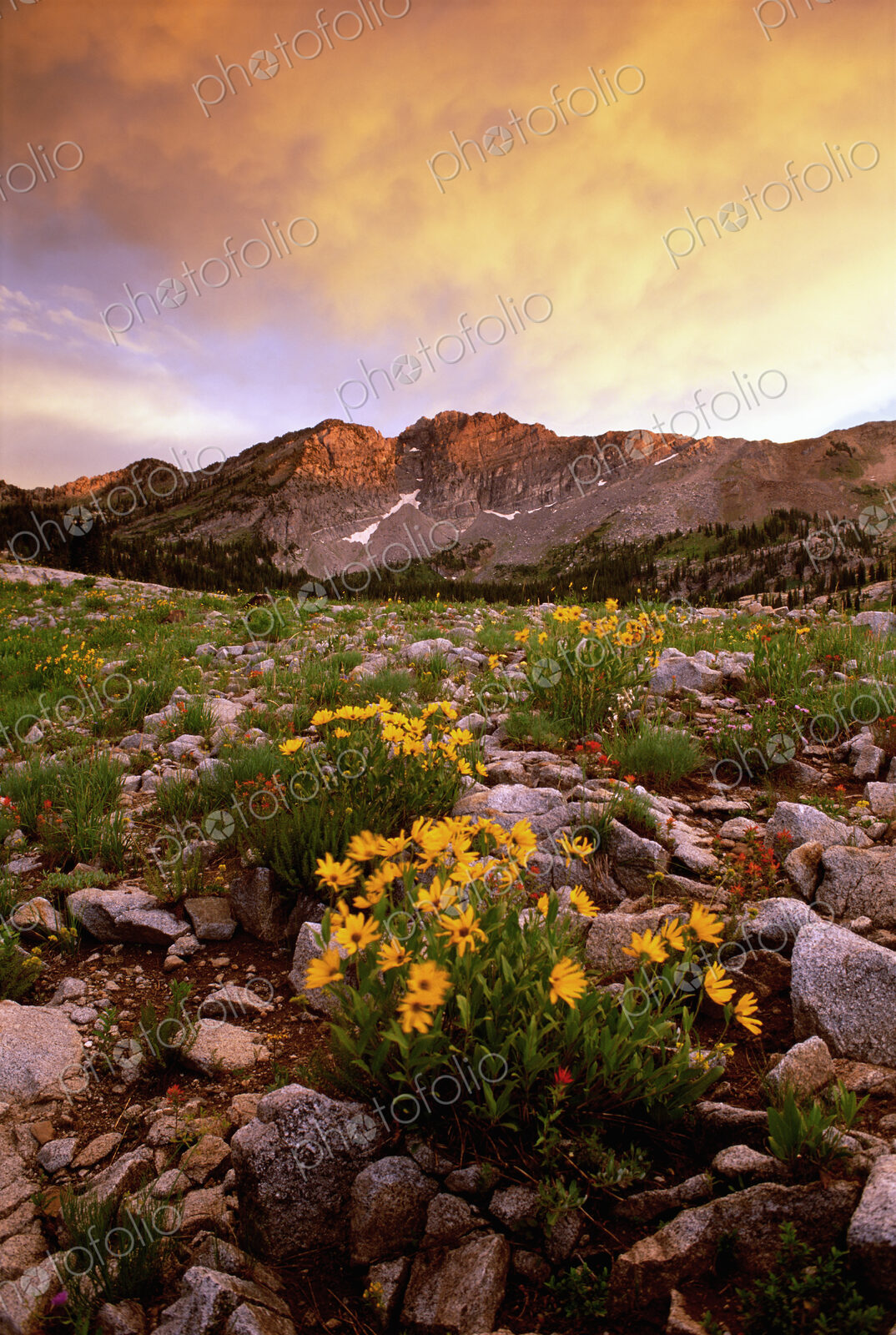 Landscape of Little Cottonwood Canyon, with the Devil’s Castle mountain peak, in the…