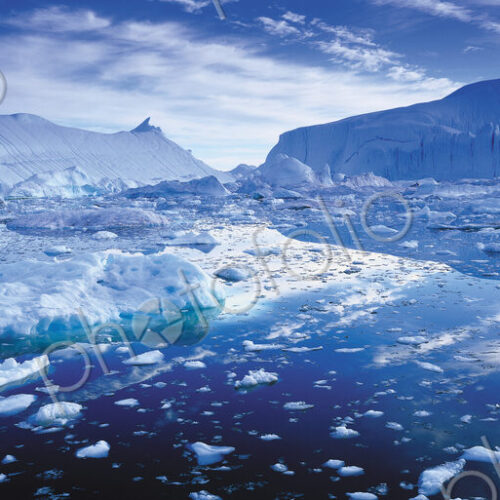 Landscape with icebergs and ice sheets on the ocean.