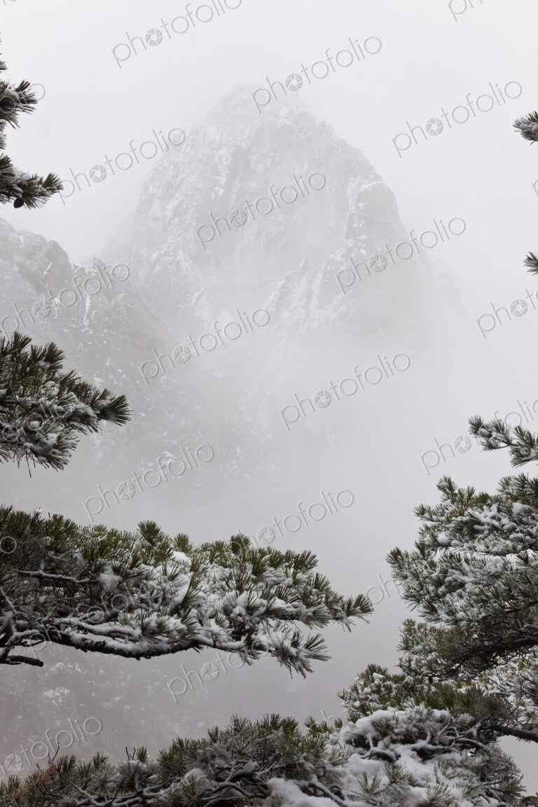 Landscape with trees and snow-capped narrow steep mountain disappearing in the mist.