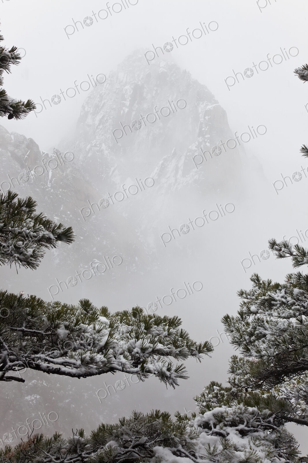 Landscape with trees and snow-capped narrow steep mountain disappearing in the mist.