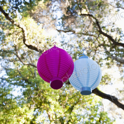 Lanterns Hanging from a Tree. Lanterns Hanging from a Tree.