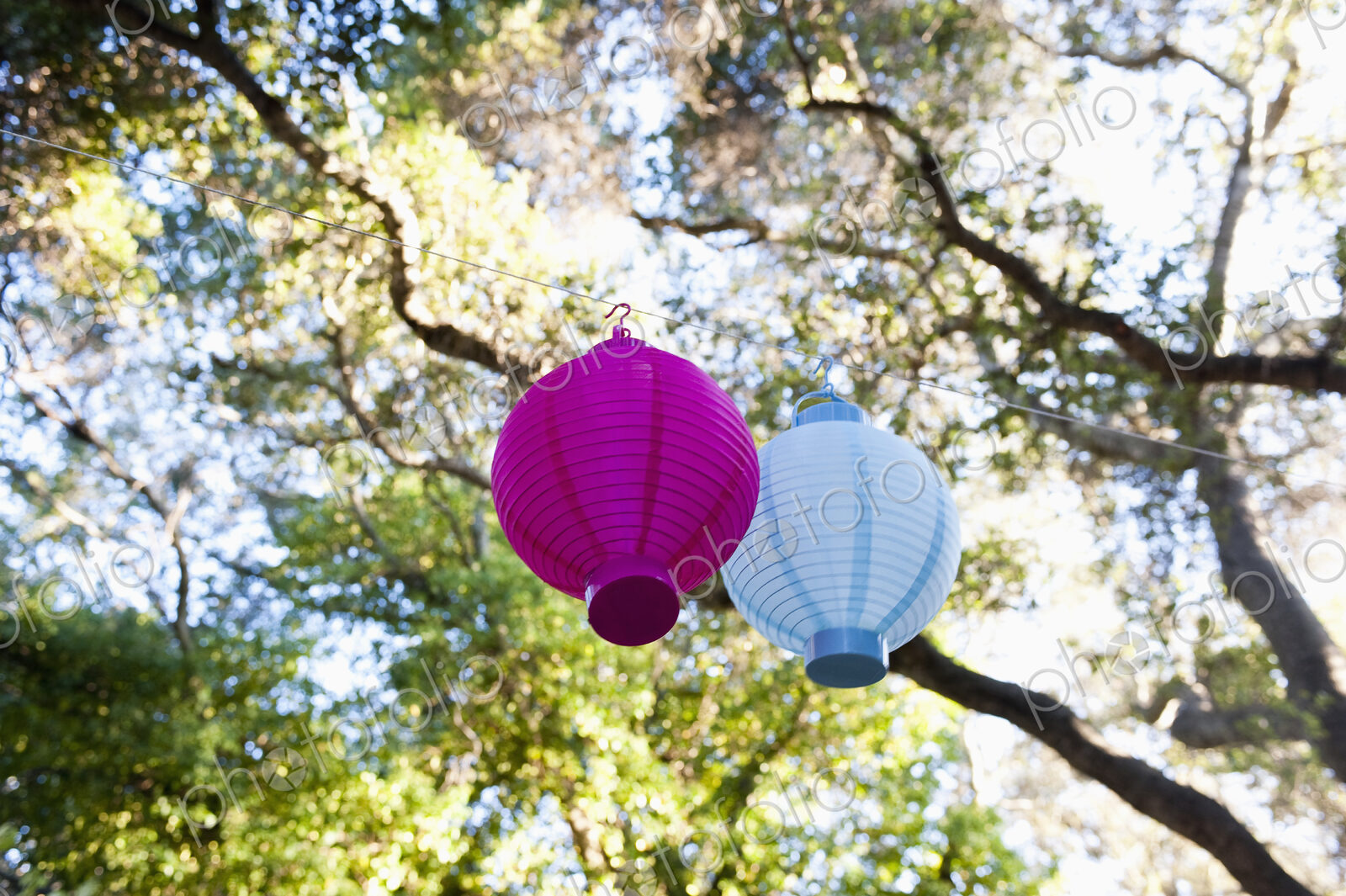 Lanterns Hanging from a Tree.