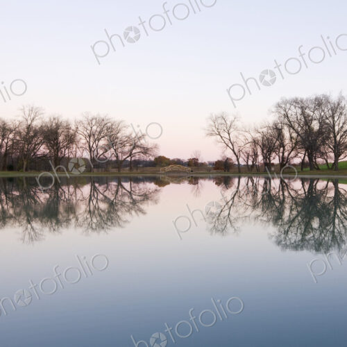 Large Pond