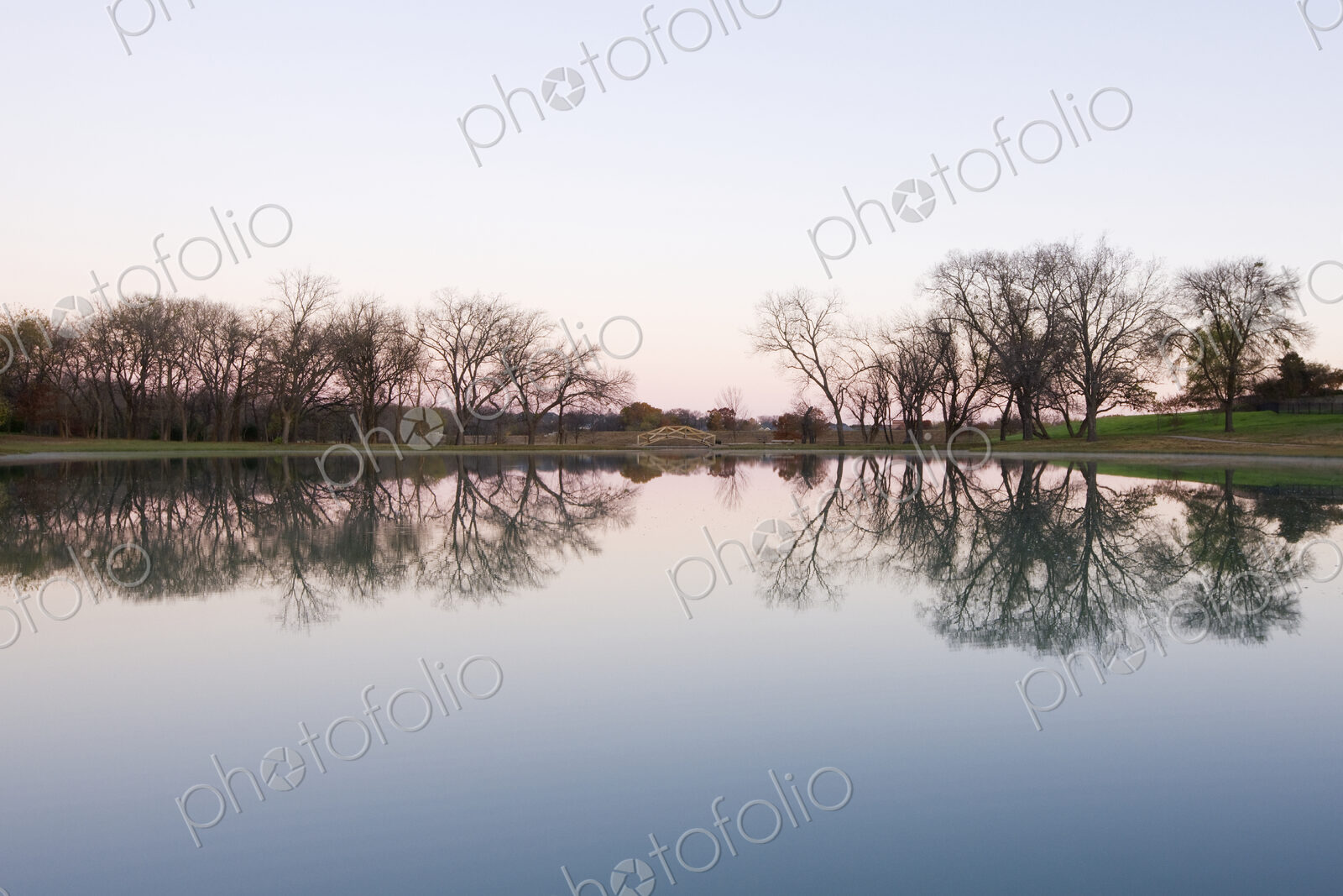 Large Pond