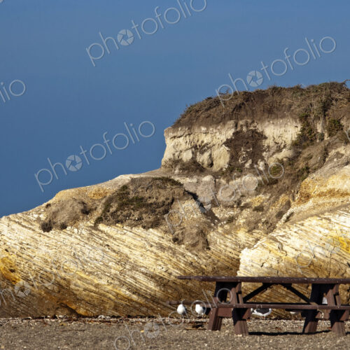 Large Rock and Picnic Area on Beach