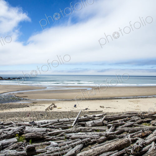 Large driftwood trunks piled on Short Sands Beach. Large driftwood trunks piled on Short Sands Beach.
